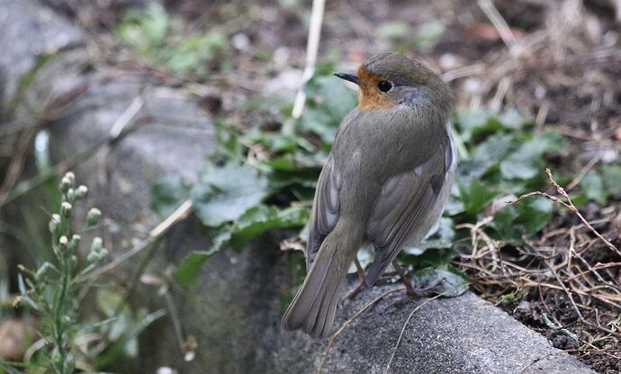 470187467_1976245136197056_4722505845303223346_n