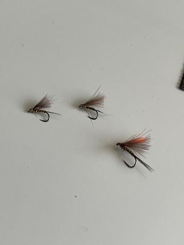 78222682942__473E7C11-D56F-413C-9DC3-8EFA603F7A2B