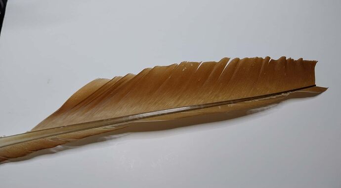 plume