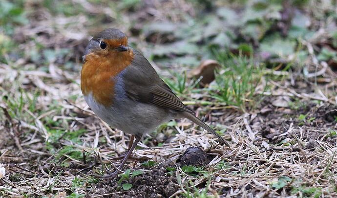 470180956_1976245072863729_6319758564005405253_n