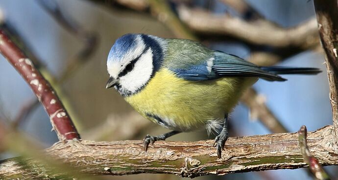 470201366_1976251426196427_4721582915874582984_n