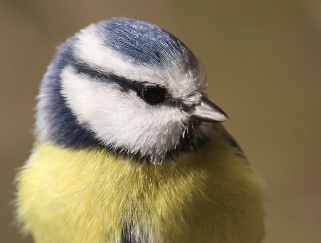 470238030_1976014236220146_5250523629532647499_n