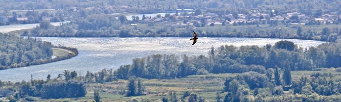 72555845_695323540955895_8321103182964981760_n 2