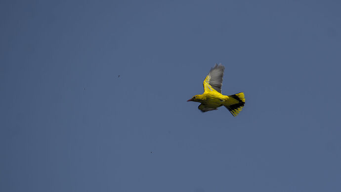 DSC_2314