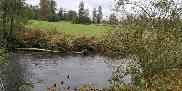 Compress_20251022_082712_2526