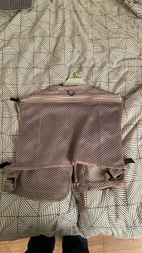 Patagonia Minimalist Vest_2