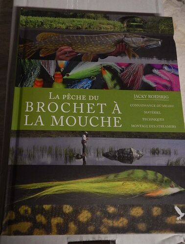 Brochet mouche (9)