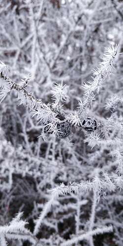 Compress_20260107_161552_2940