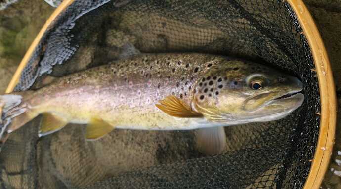 IMG-20250425-WA0015