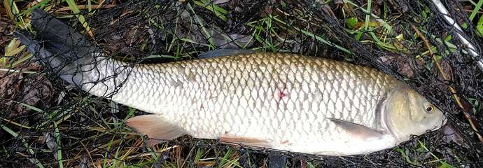 Compress_20251212_105351_1093