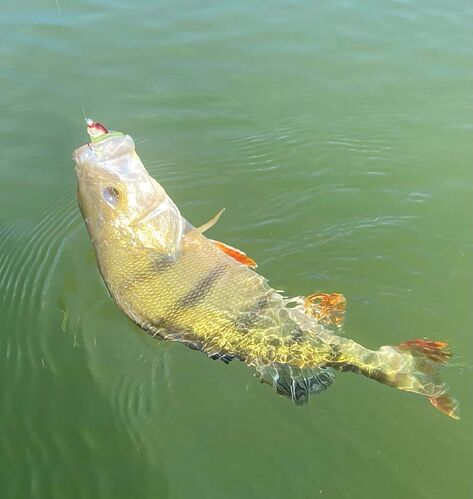 CamScanner 05-11-2025 10.54_5