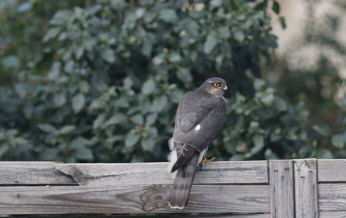 471567294_1986239838530919_9203504220051851830_n