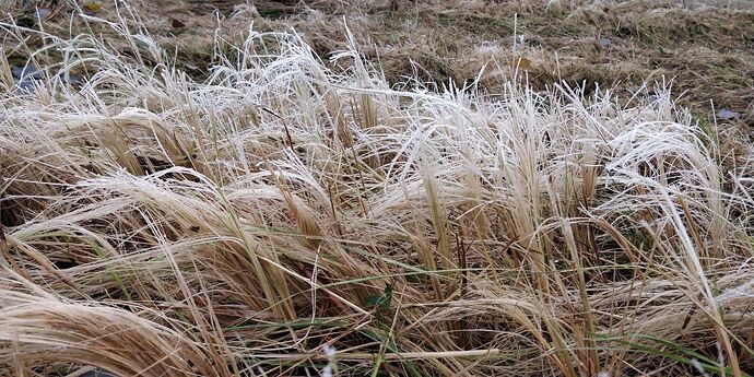 Compress_20251123_184506_6662