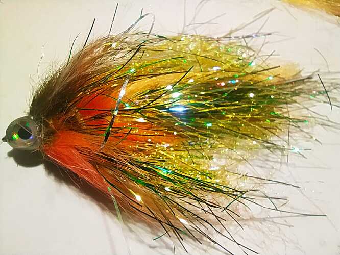IMG-20250507-WA0007