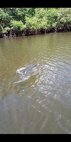 IMG-20211030-WA0023