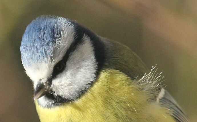 470190365_1976017339553169_4046462758171039250_n 2