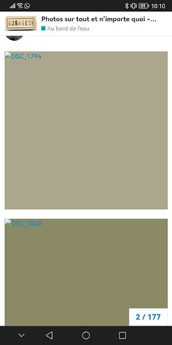Screenshot_20250405_101045_com.android.chrome