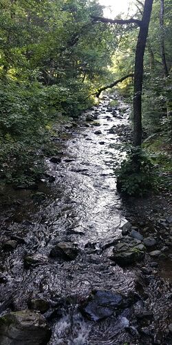 Compress_20250731_155503_3828