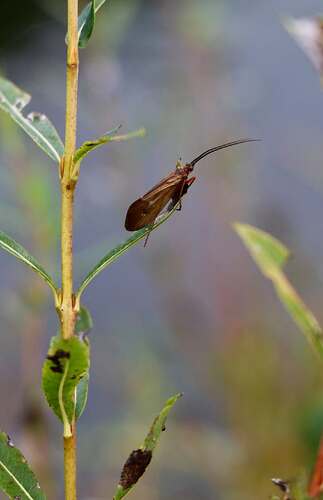 91618632_827303077757940_2486539112354414592_n 2