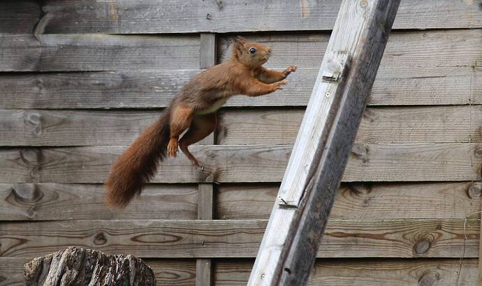 470149171_1974966139658289_5154578054918234205_n 2