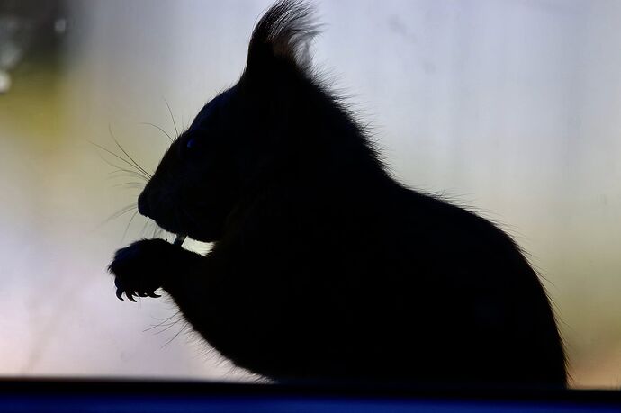 470187006_1976041049550798_5421789139391293791_n