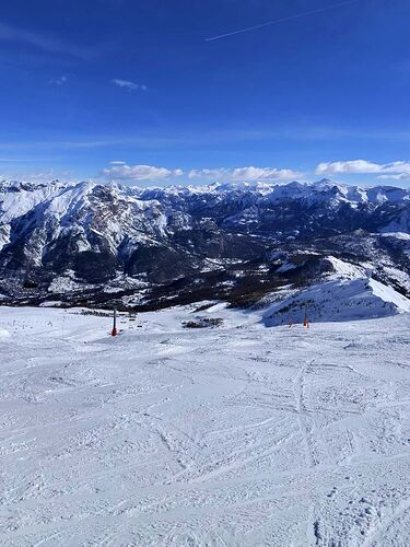 photo-3950_singular_display_fullPicture