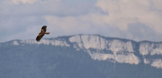 124021453_999445097210403_6626307153768189703_n 2