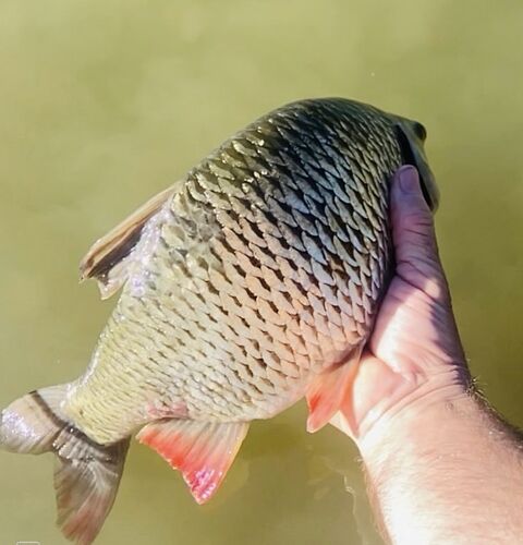 CamScanner 05-11-2025 10.54_1