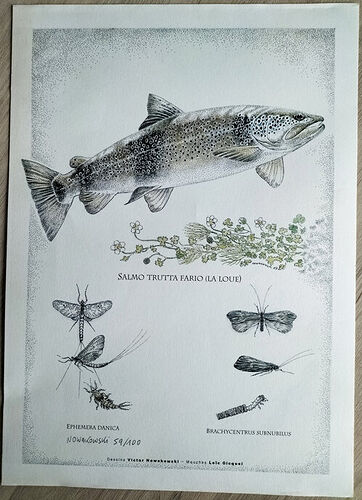 litho1111