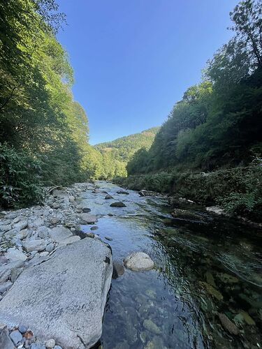 IMG_8017