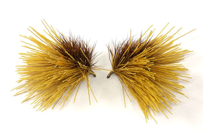 Sedge indicateur 1 #10