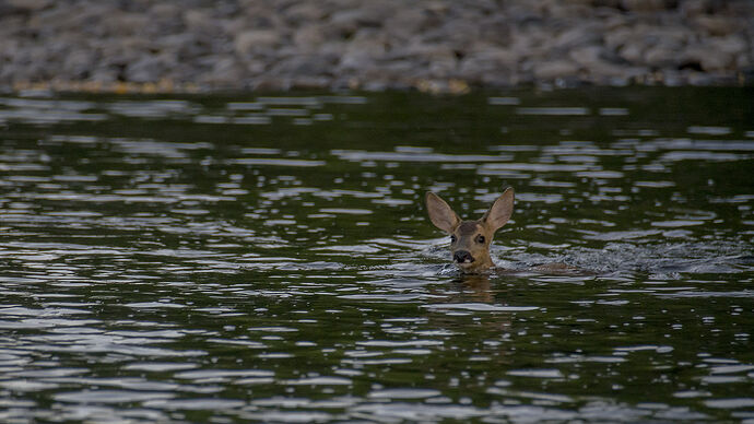 DSC_6340