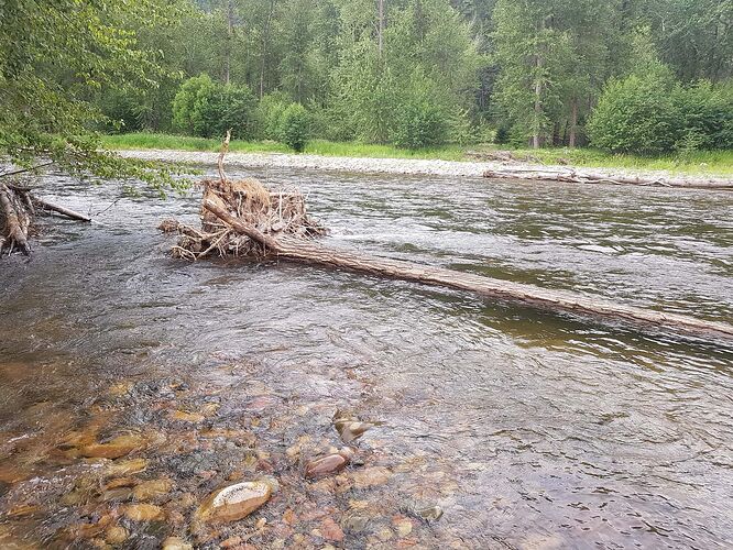 IMG-20220713-WA0034