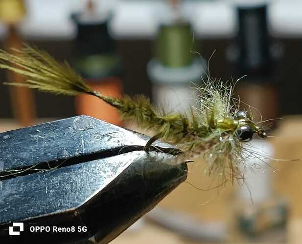 0937beac-039d-4f77-815a-0a57fc45572b