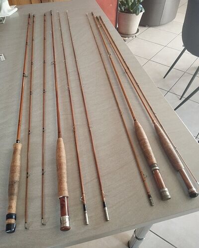 IMG_20250302_095513_pLURsdUj5r