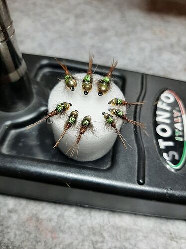 Pheasant tail Holo