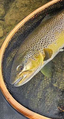 IMG-20250422-WA0033