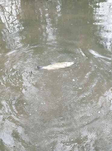 Compress_20251212_105350_0916