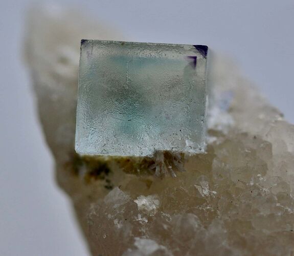 493905267_2084973331990902_6334584596811480710_n 2