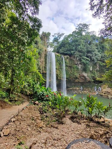 od_photo-1541_singular_display_fullPicture