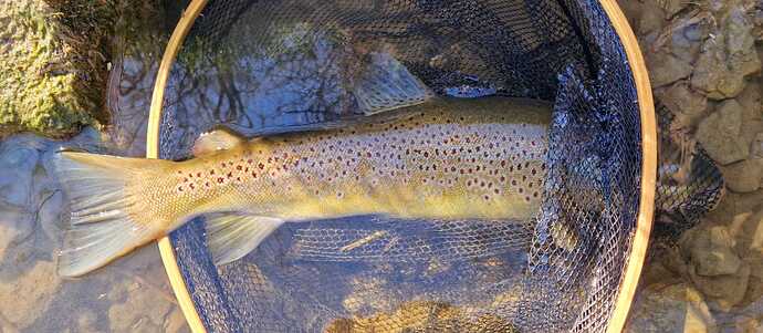 IMG-20250409-WA0023