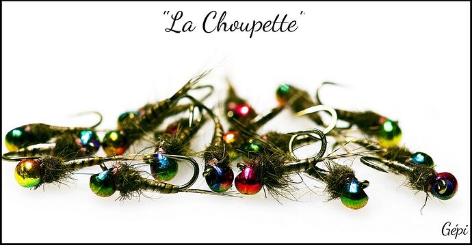 4-Choupette (3)