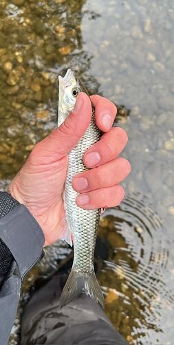 IMG_9485