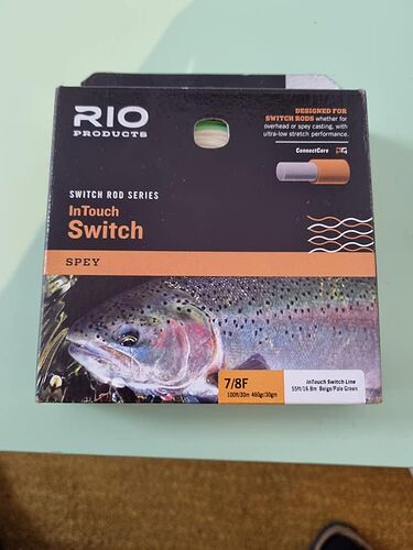 Rio Switch 1