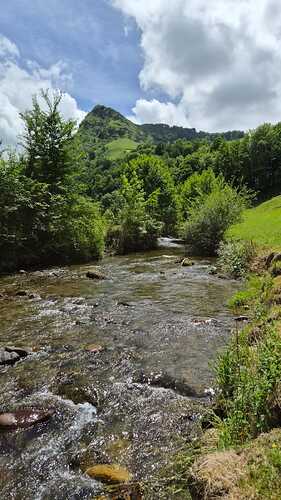 IMG-20260605-WA0010