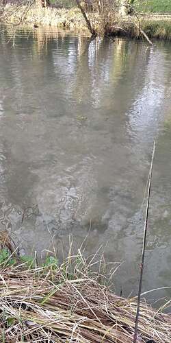 Compress_20251208_165302_2811