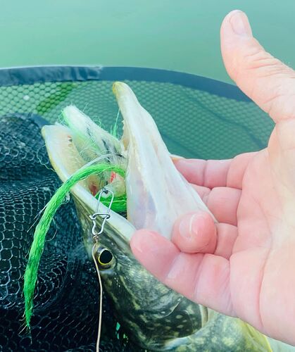 CamScanner 05-11-2025 10.54_3