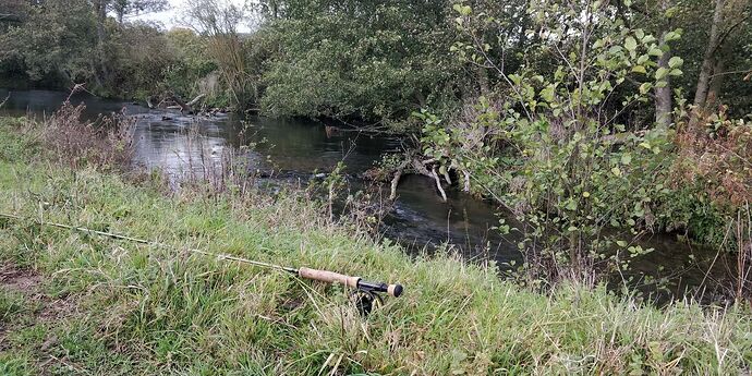 Compress_20251022_141923_3958