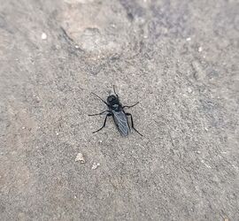 IMG_20260325_125516