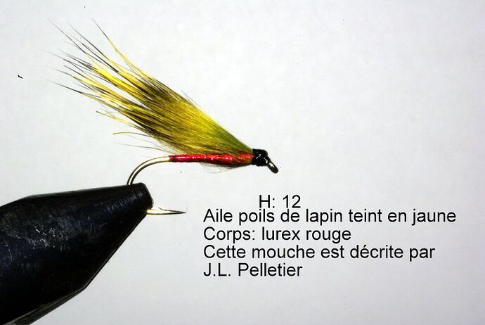 _IGP7544